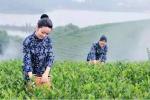 〈梨花吟〉微诗一组/邢志坚（河南）