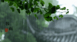 谷雨 文/何笑天 
