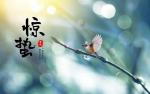 【国风社江苏分社2022年（第五期）专辑】