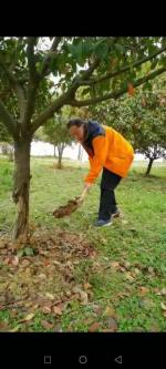 七绝‖后官湖湿地公园义务护绿  作者‖张衍泽（武汉）