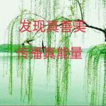 远方的诗行文/草原山丹