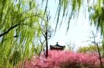 【七律* 郊外踏青】文／渝新【浣花溪文学社～抒心悦目】（1096辑）