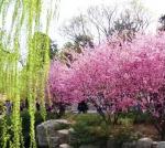【七律* 郊外踏青】文／渝新【浣花溪文学社～抒心悦目】（1096辑）