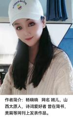 【知名诗人杨晓晓】作品欣赏《相思引•春溪夜怀》