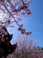 【雅诗总会】精品★昆侖雪诗词欣赏之十九