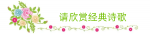 朗诵诗：母亲   我要为您写首诗   作者/杨志国      主播/烛光     请欣赏