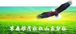 贺草原雄鹰诗社山东分社成立及侯洁就任分社社长《001》期——作者/草原雄鹰山东分社诗人