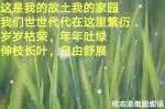 〈小草物语〉文/邢志坚(河南)