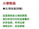 〈小草物语〉文/邢志坚(河南)