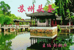 五绝||美不胜收  文/清爽