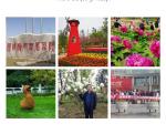    春游西安植物园          文/王哲甫   都市头条——西银头条 传播正能量