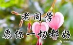 七律   拜泉一中母校情      文/董 志【黑龙江】