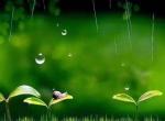 七绝《庚子谷雨节气抒怀》十二首｜文/辉叔(许日辉)