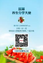 赏牡丹   文/木雨  都市头条—— 西银头条  传播正能量
