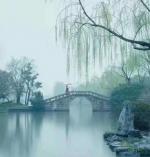 生而孤独 ｜文/晓畅