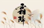 【南京头条】伤春（文/周恒旗）