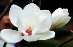 陇上七绝四首(甘肃)〖冰心文化传媒〗