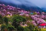 东方《品语亭》诗社 | 在小镇 你的眼神我无需确认  文/褚向平（河北）