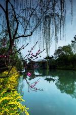 填词【霜天晓角】【步蟾宫】共四首  文/风啸青花  