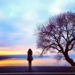 喜迁莺.梨花落似流年  流水〈辽宁阜新〉