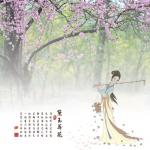 葬花吟   文/金鉴