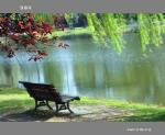 等风    文/杨咏春_都市头条