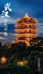 千秋岁  战“疫”归来  文/黄定克
