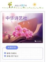 月光诗人/妮可作品欣赏