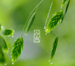《播种希望》作者/袁兵宝【中华文化】成都头条