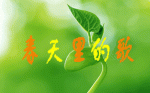 杨玉珍：朗诵诗歌，春天来了【征文】请欣赏