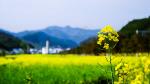 《江南诗絮古韵飘香》0098期