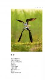艺术浅说‖作者：张守军(河北)