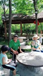 六月“杏”福满满的时光（组诗） 文‖孙爱玲