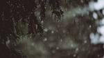 那雨夜的孤独 ___文/丁明亮