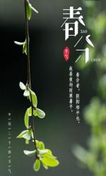 六汪文苑 第310期丨春之歌（六）春分时节话春分