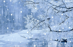 诗意传情诗社 【三月梦雪】文‖姚京平 诵‖旭洋（177）
