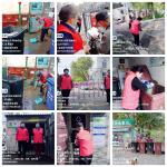 无私奉献志愿行         一枝一叶总是情