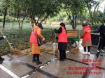 文明祭祀英烈 清扫美化环境
