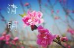 清明  作者：剧明水