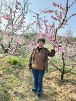 联机全球发布诗人陈红花精品诗歌