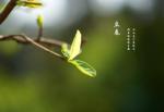 力推《春之诗词五首》文/赵洪双 主播/自由飞翔 总编金牌主播/诗茵若雨_滨州头条文学有声平台推送