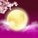 【凤凰诗社】美东诗社||梅花，  落在根是缘  ，插在花瓶，更是缘
