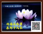 随记364：舒城印象（3）‖  作者：许鹏(南京)