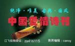 《中国爱情诗刊》(第2710期)辽宁组稿工作站选送(组稿： 梁宝君 琉璃月审核：琉璃月 终审 江飞)