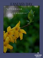 《春日恋曲》· 戴思翰光影兿術摄影作品欣赏· 【大家风范摄影艺术展】