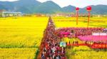 金色中国:《春来武穴看花海》