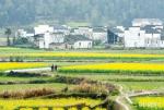 天都文学丨张俊全现代诗《无情的岁月》