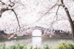 《江南诗絮古韵飘香》0131