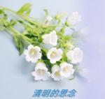【都市头条向幸福出发编辑部】第302期《清明的思念》作者如月