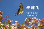 【中国都市文学社】隆重推出《蝴蝶飞》作者‖大浪淘沙，主播‖廖敏英。